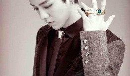 鹿晗手表爆料是真的吗视频,真相揭秘还是虚假炒作？