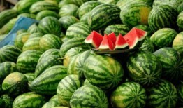 10月网红吃瓜事件,盘点那些引发热议的幕后故事